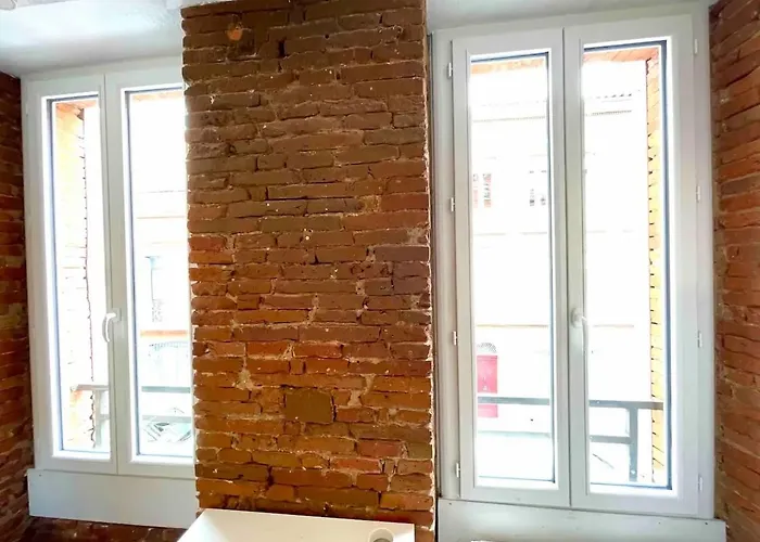 Toulouse-cyprien, Typique A 10' Capitole & Carmes Apartman Toulouse