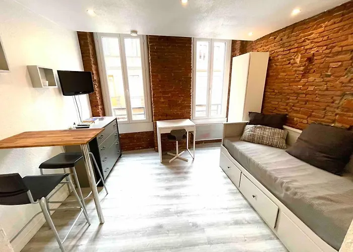 Toulouse-cyprien, Typique A 10' Capitole & Carmes Apartman *